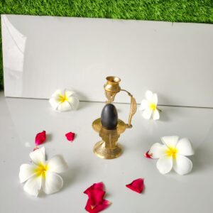 black narmadeshwar shivling