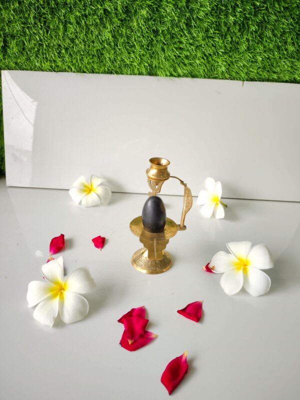 black narmadeshwar shivling