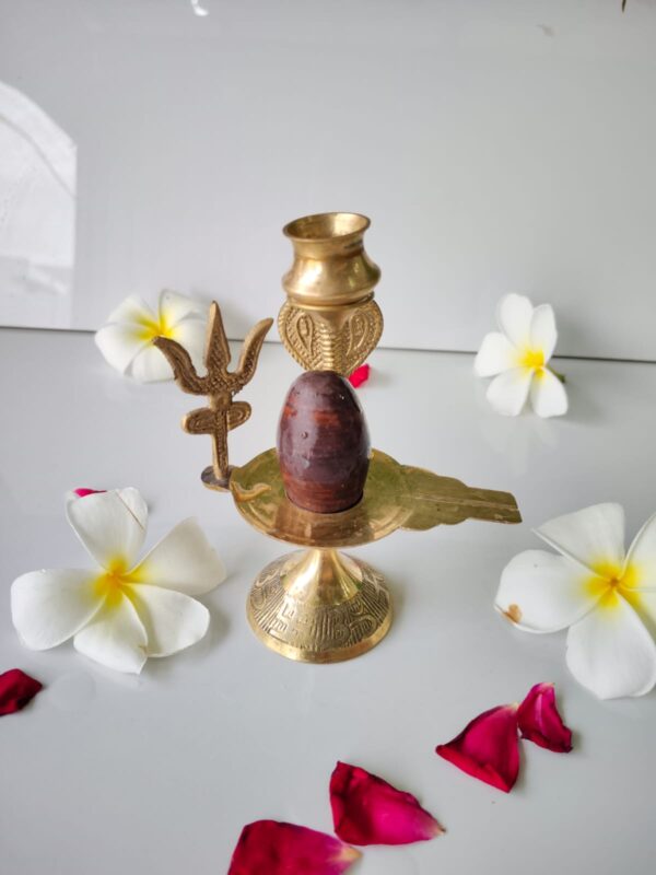 nag narmadeshwar shivling