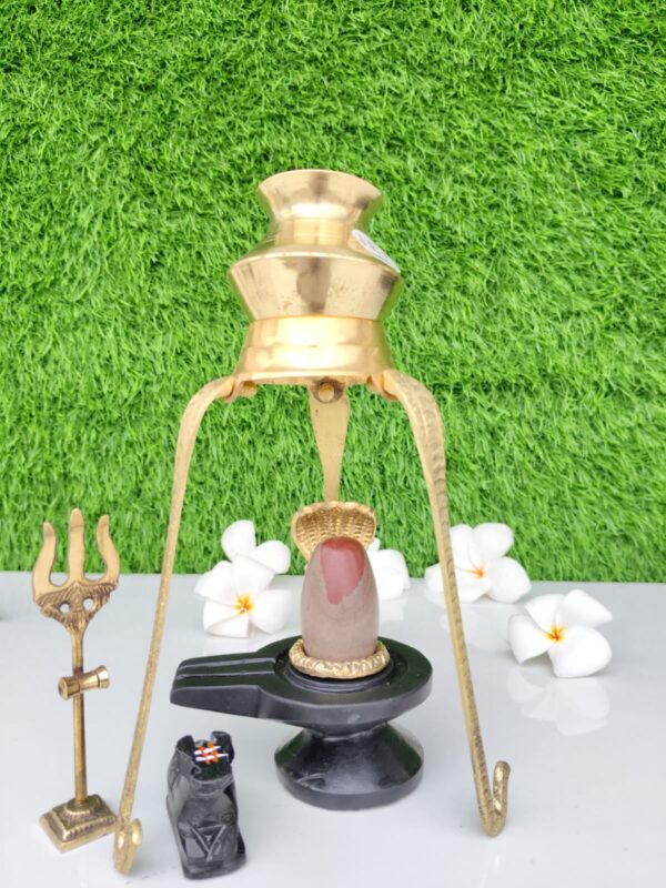 original narmadeshwar shivling