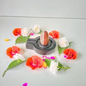 ardhanarishwar narmadeshwar shivling