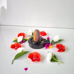 ardhnarishwar shivling