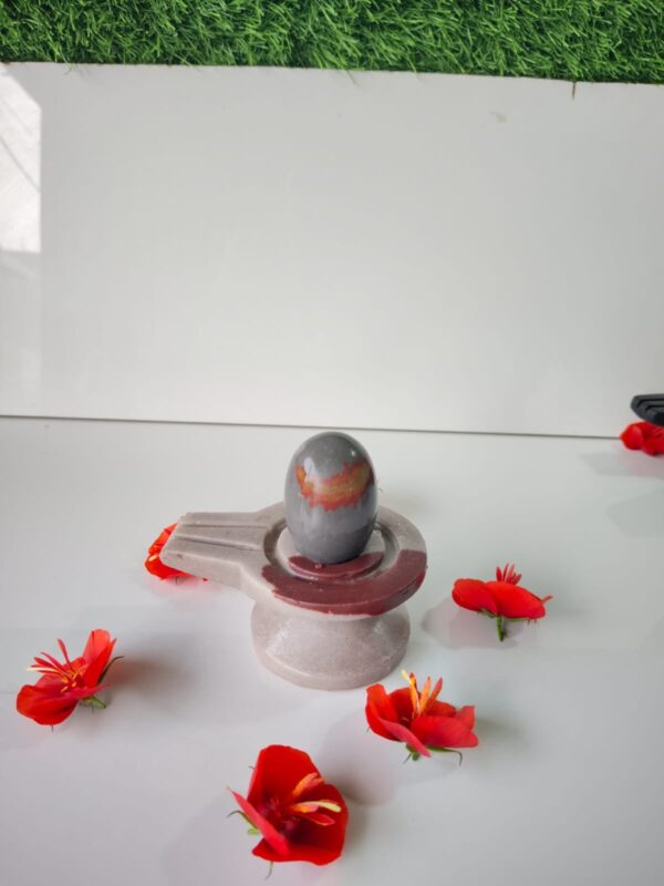 tilak dhari narmadeshwar shivling for home