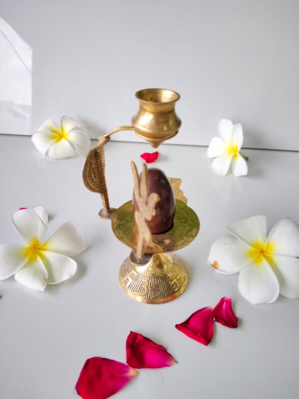 janue dhari narmadeshwar shivling for complete set
