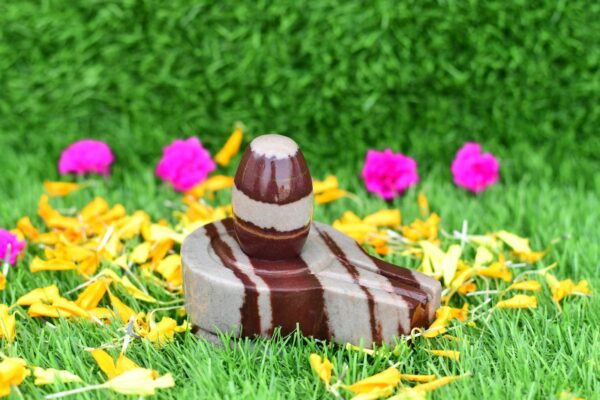 janue tilak shivling for home