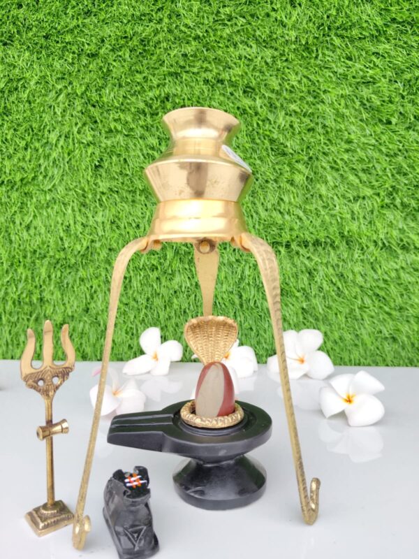 original tilak dhari narmadeshwar shivling
