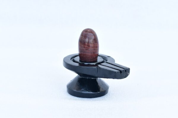 janeu dhari narmadeshwar shivling