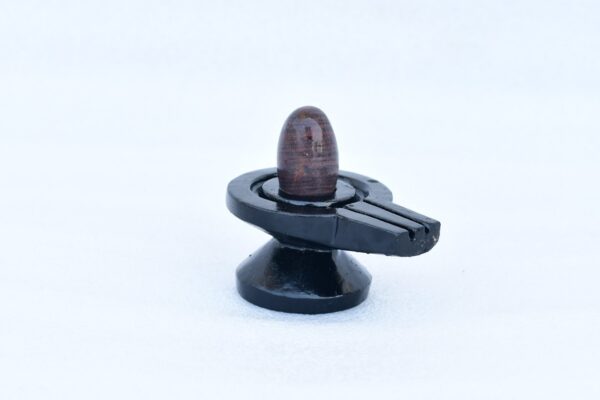janeu dhari narmadeshwar shivling