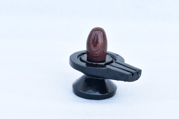 janeu dhari narmadeshwar shivling
