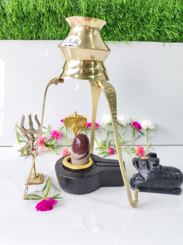 narmada narmadeshwar shivling