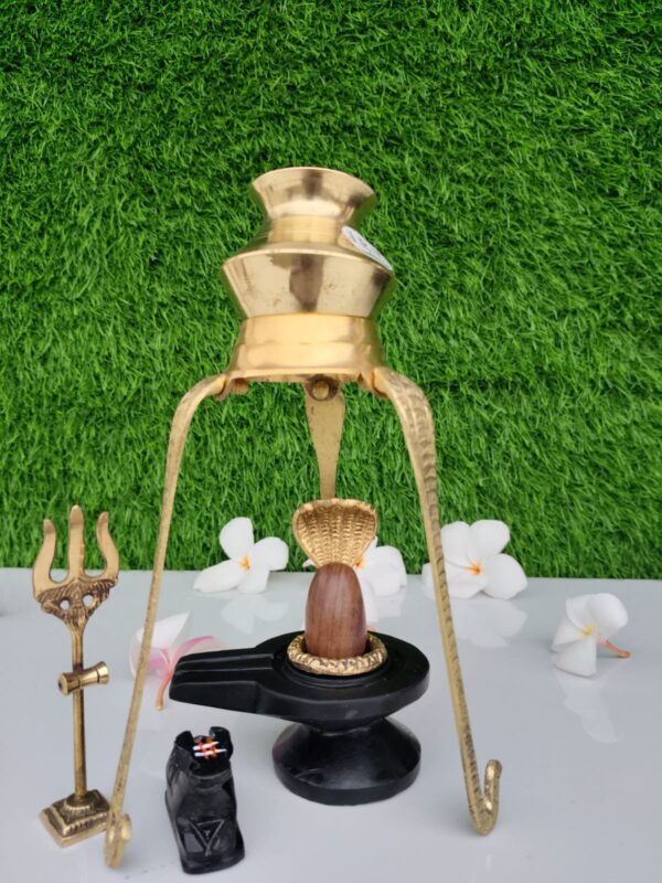 janeu dhari narmadeshwar shivling