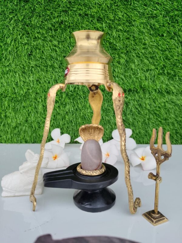 white janue dhari narmadeshwar shivling