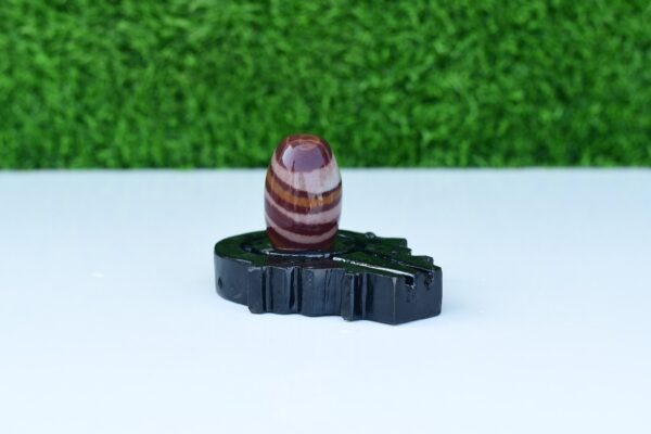 unique janeu dhari narmadeshwar shivling