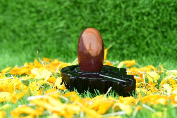 original tilak dhari narmadeshwar shivling