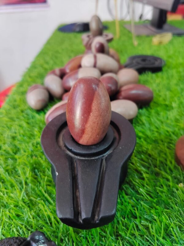 Thumb size narmadeshwar shivling