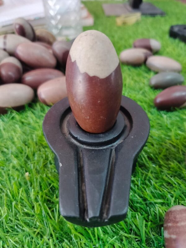 Narmada stone shivling