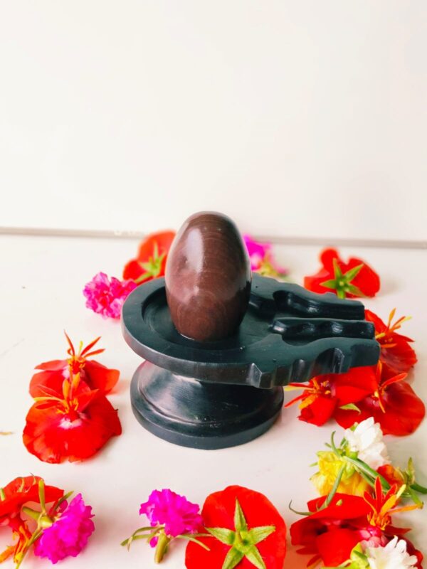 narmadeshwar shivling for tripund nag jaladhari - Image 4