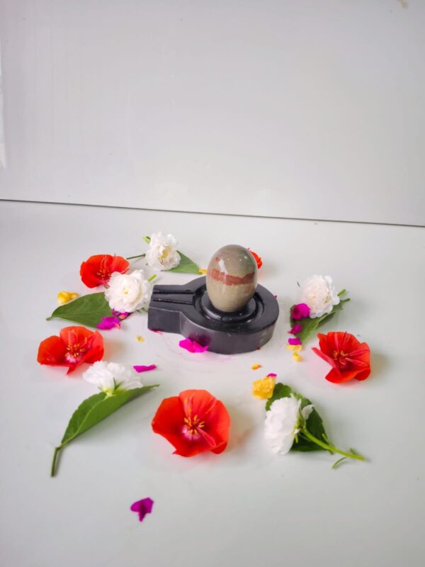 chandrakar akrati narmadeshwar shivling for home - Image 2