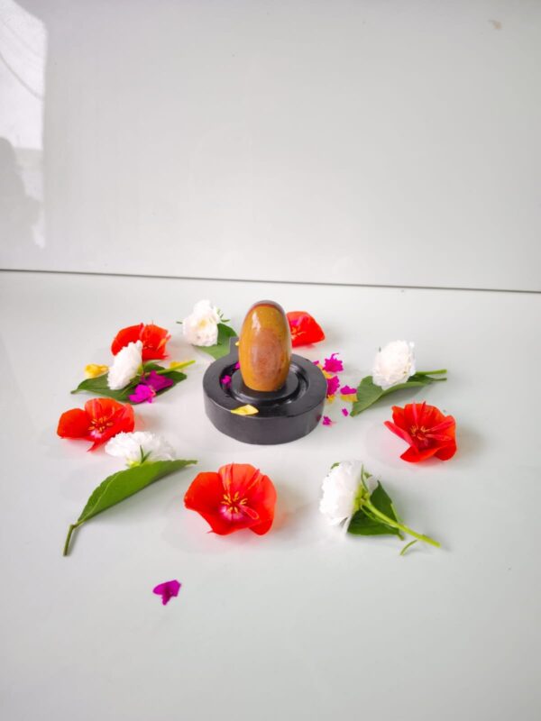 Originsl ardhnarishwar narmadeshwar shivling for home - Image 4