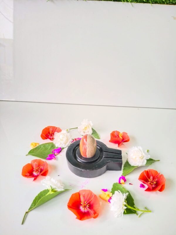 ardhnarishwar narmadeshwar shivling for home