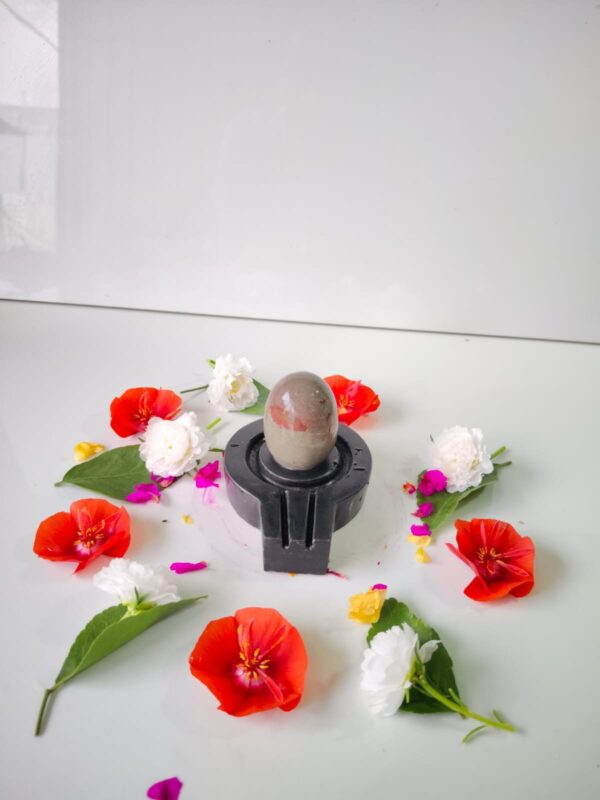 chandrakar akrati narmadeshwar shivling for home