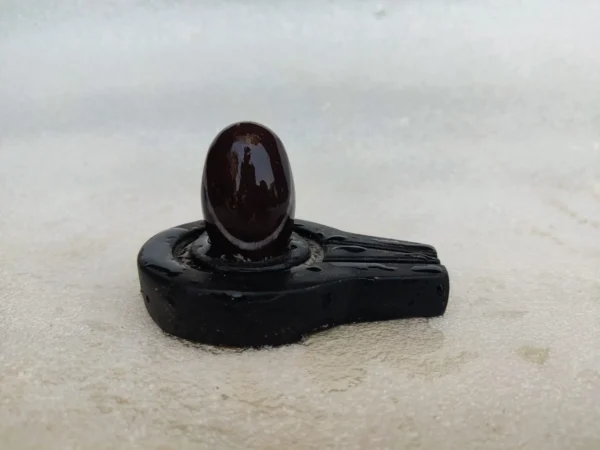 black narmadeshwar shivling