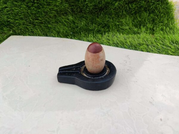 tilak narmdeshwar shivling - Image 2