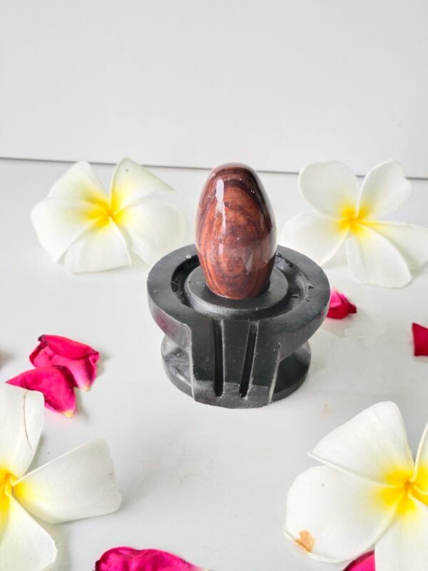 janeu dhari narmadeshwar shivling for home puja