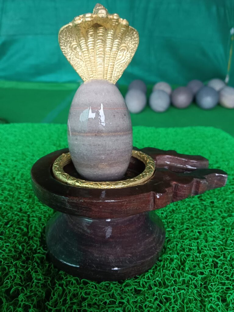 Janeu Dhari Shivling with base and nag